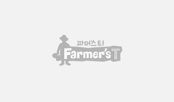 파머니스티